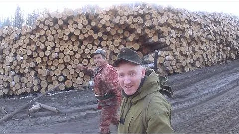 Стрельба пулей из ружья Зауэр и ружья Меркель.