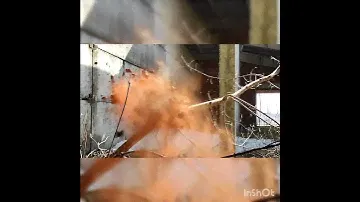 На что способно ружьё 12 калибра!!!