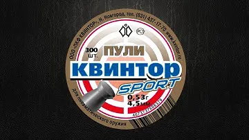 Пули для пневматики 4,5 мм: Квинтор SPORT