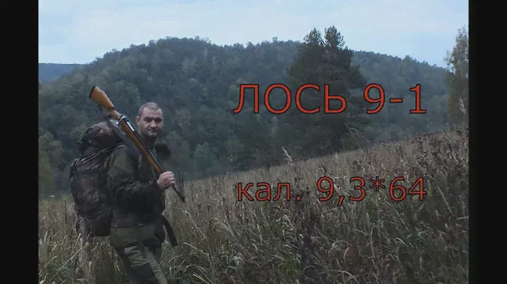 карабин ЛОСЬ 9-1 обзор