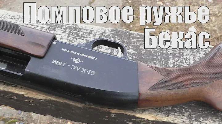 Помповое ружье на стенде ⊳ Ружье Бекас Forever!