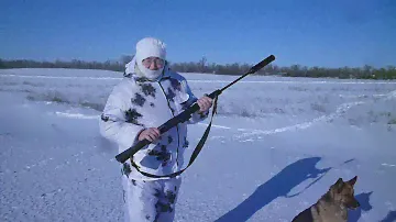 Сайга 410 с глушителем.