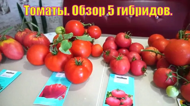 Томаты . Обзор  5 гибридов