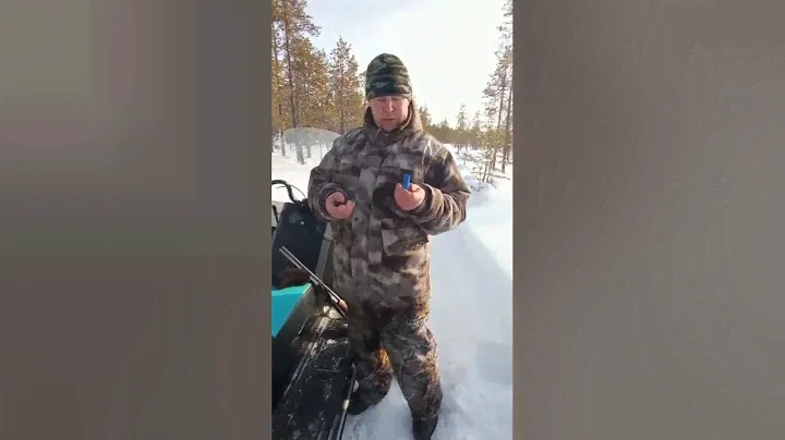 Стрельба из ружья 12 калибра по мишеням, проверка новых патронов Главпотрон ( Silver Shot)