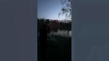Патроны Шлейф вектор
