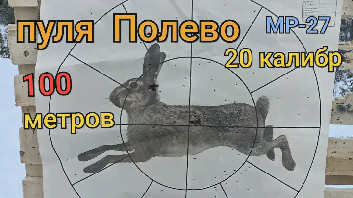 пуля Полева 2.на 100 метров с 20 калибра. МР-27